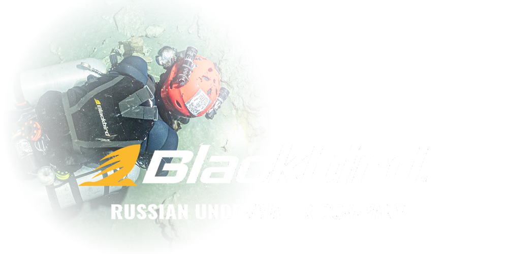 BLACKBIRD